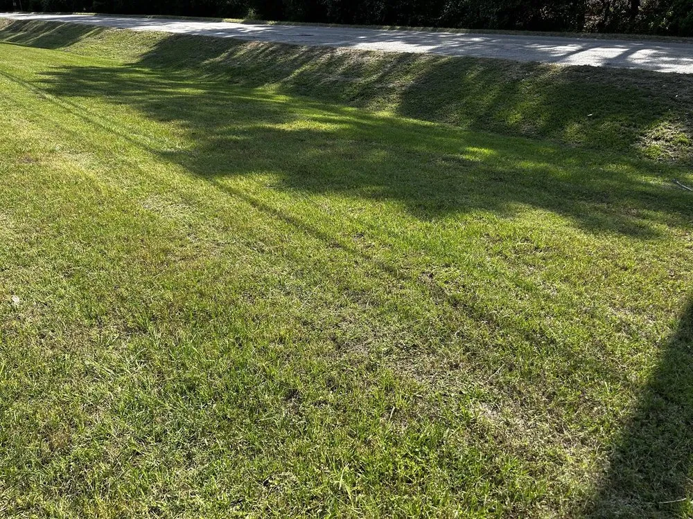 Affordable lawn care service for beautiful yards in Humble, TX by Greenway Landscaping & Concrete Services