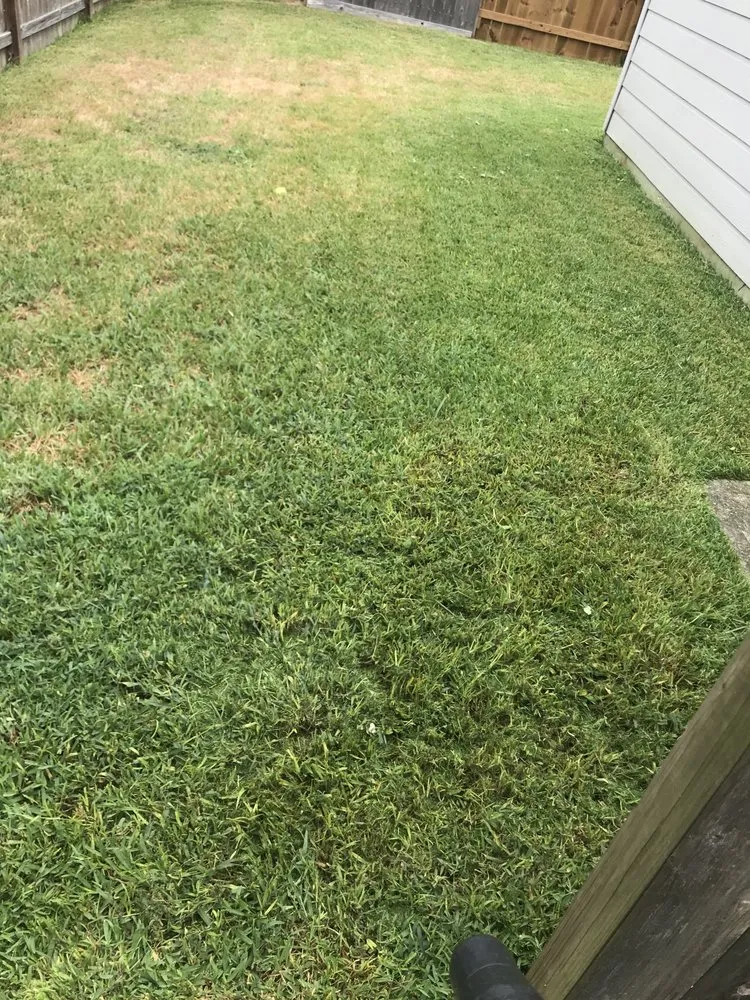 Expert yard maintenance experts serving Humble, TX - Greenway Landscaping & Concrete Services