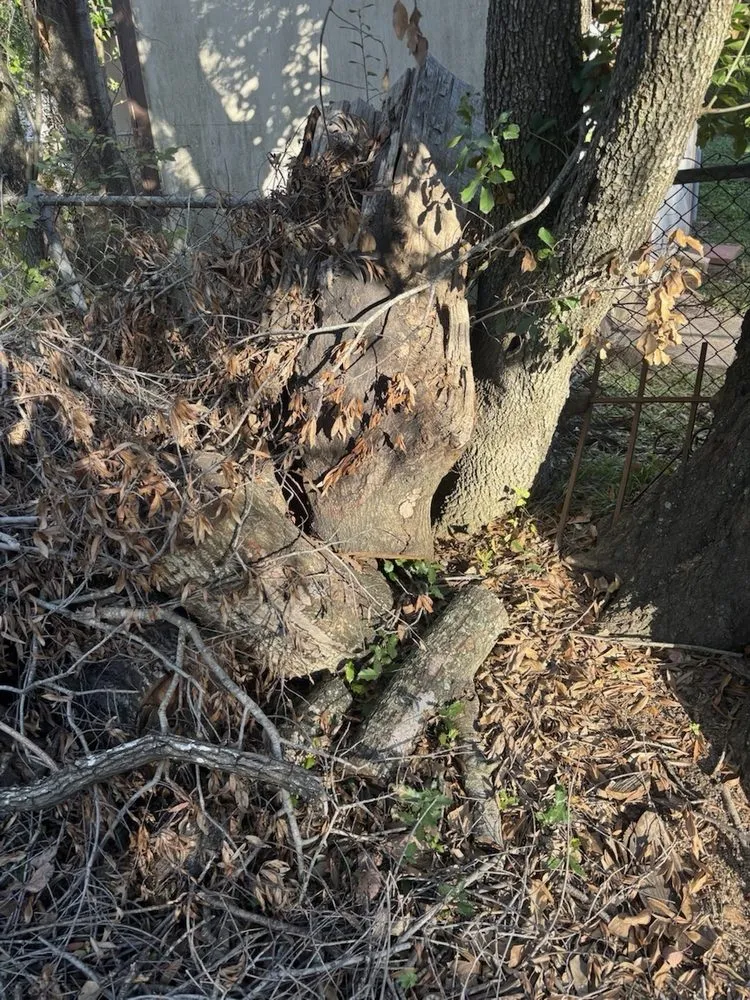 Expert landscape design in Humble, TX by Greenway Landscaping & Concrete Services