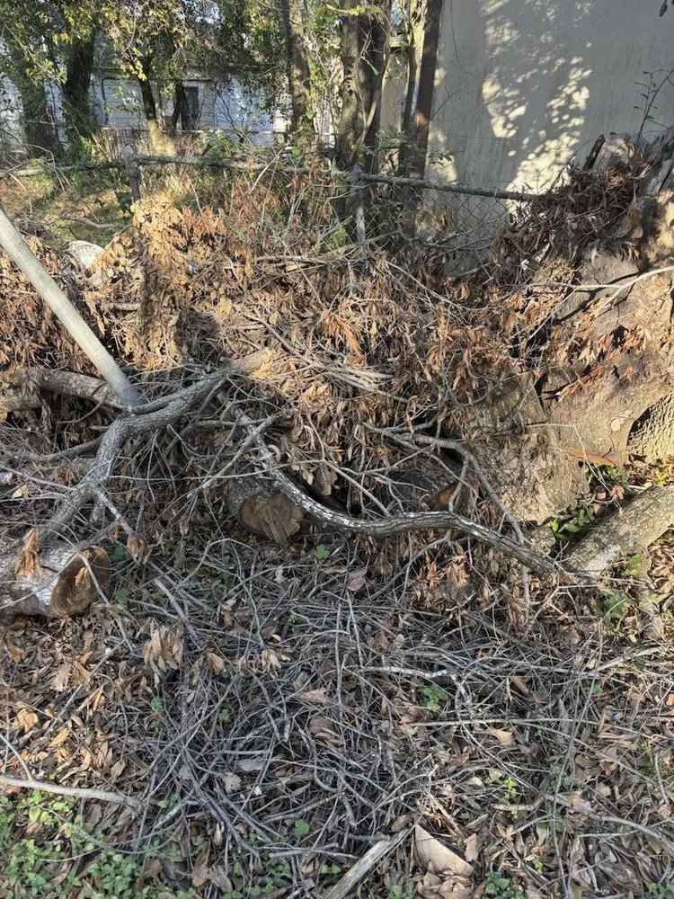 Custom landscaping services for residential properties in Humble, TX by Greenway Landscaping & Concrete Services