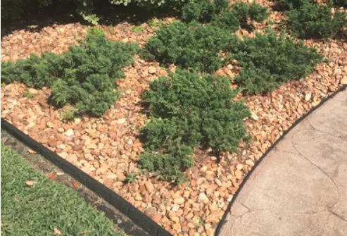 Custom lawn mowing service for residential properties in Daytona Beach, FL by Greenway Lawn and Landscape Design