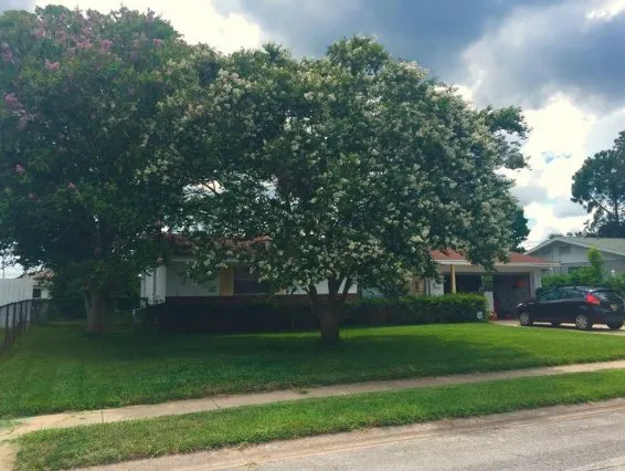 Expert yard cleanup service for outdoor upgrades in Daytona Beach, FL by Greenway Lawn and Landscape Design