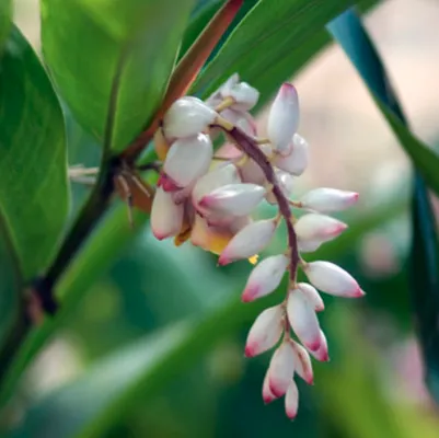 Greenway Lawn and Landscape Design