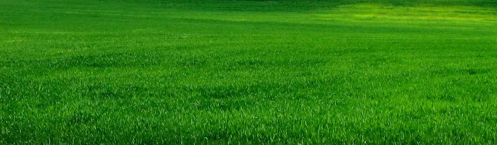 Trusted outdoor landscaping for year-round maintenance across Marion, IN - Greenway Lawn and Tree Service