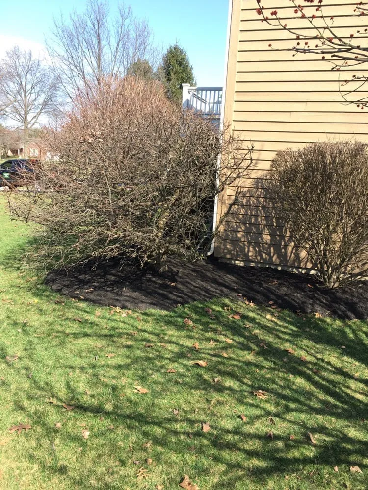 Local residential landscaping in Zionsville, IN - Greenway Lawn Care