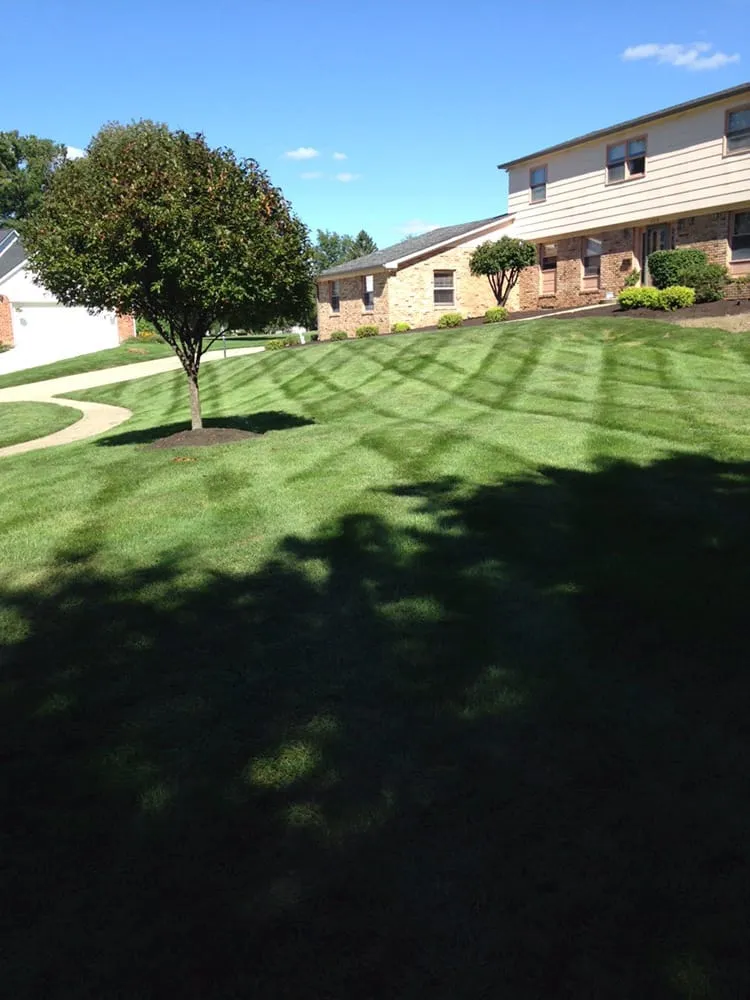 Trusted lawn care service with custom design in Zionsville, IN by Greenway Lawn Care