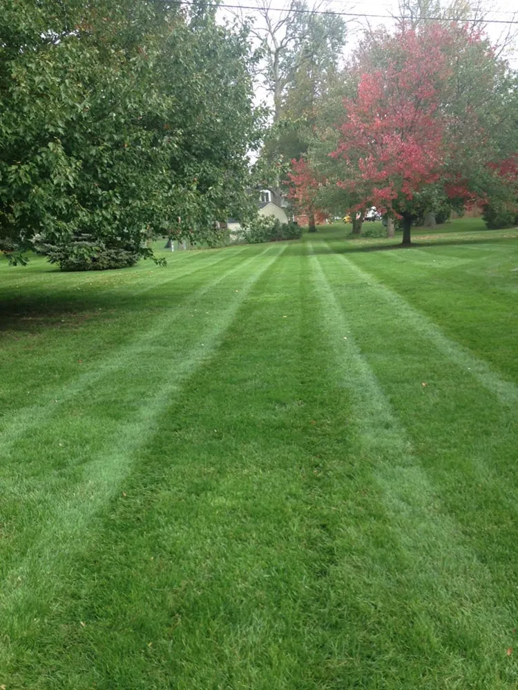 Reliable lawn care service experts serving Zionsville, IN - Greenway Lawn Care