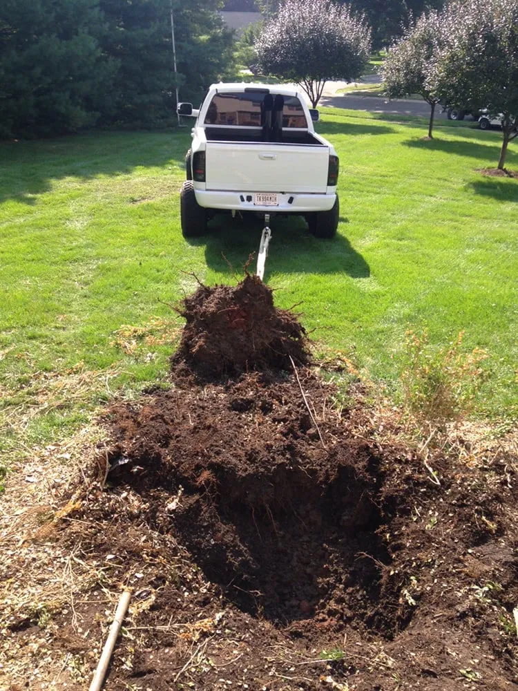 Affordable yard cleanup service near you across Zionsville, IN - Greenway Lawn Care