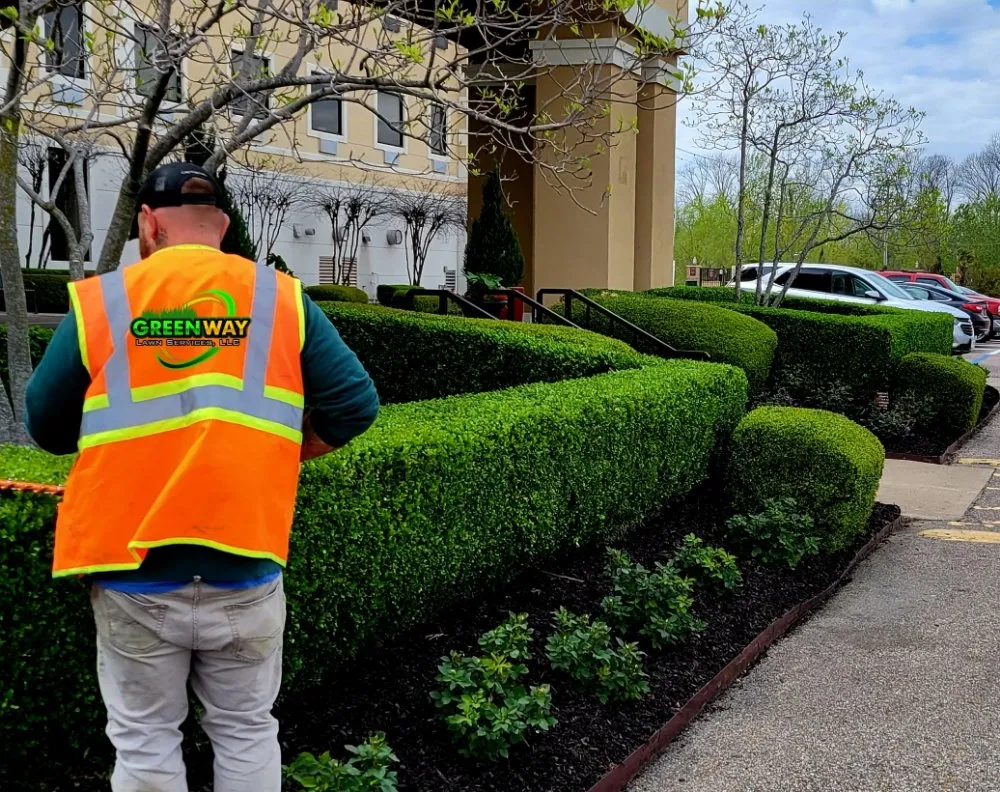 Affordable lawn mowing service in Doddsville, MS by Greenway Lawn Services