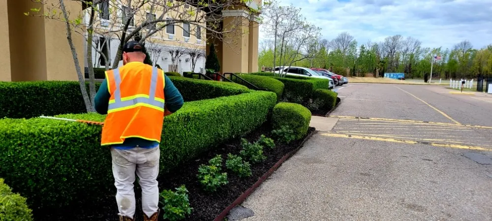 Professional residential landscaping in Doddsville, MS - Greenway Lawn Services