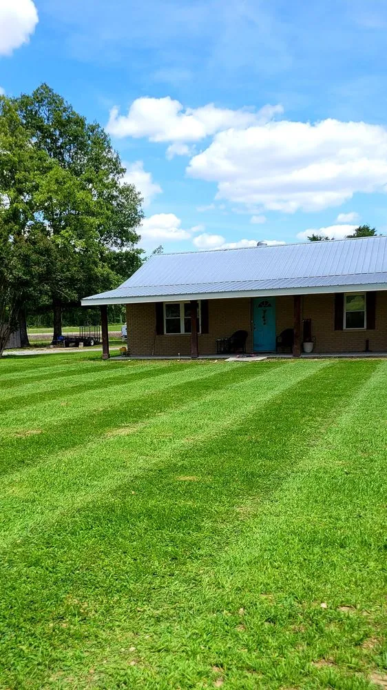 Expert yard cleanup service in Doddsville, MS by Greenway Lawn Services