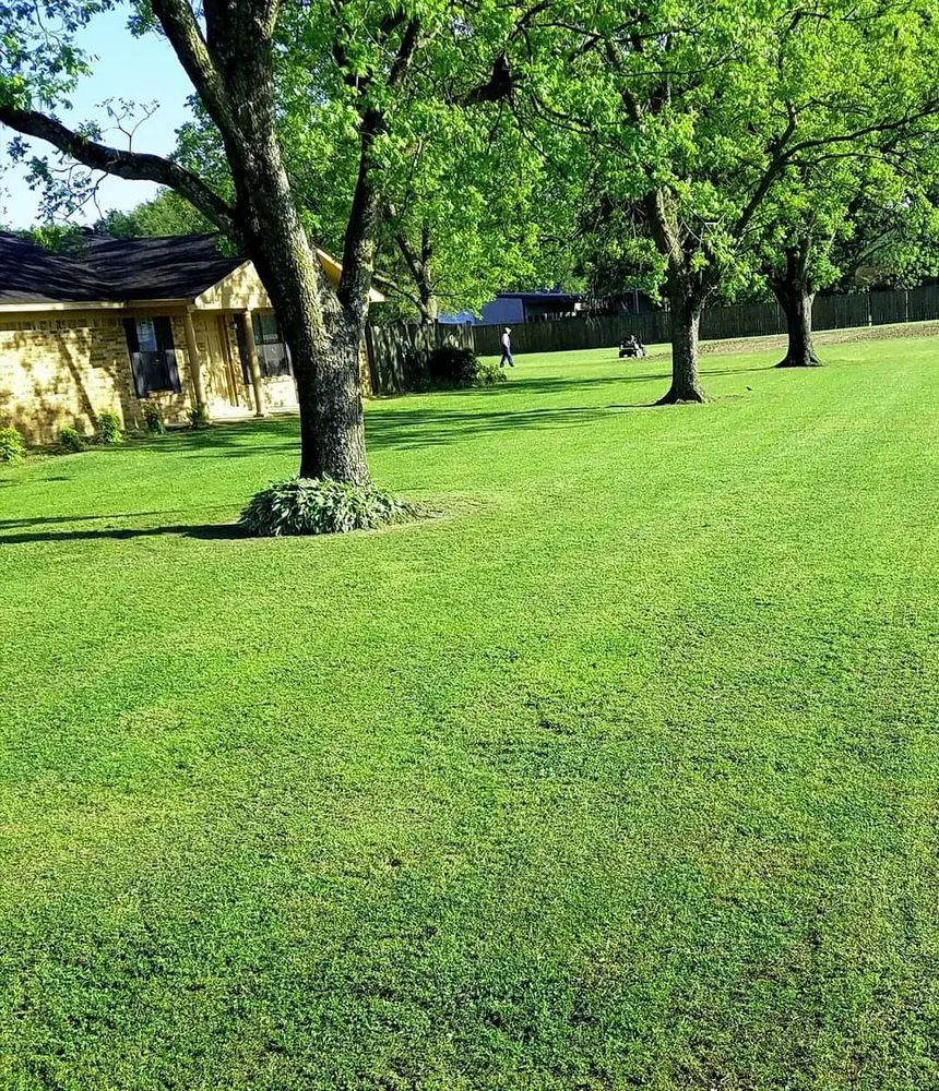 Reliable residential landscaping for outdoor upgrades across Doddsville, MS - Greenway Lawn Services