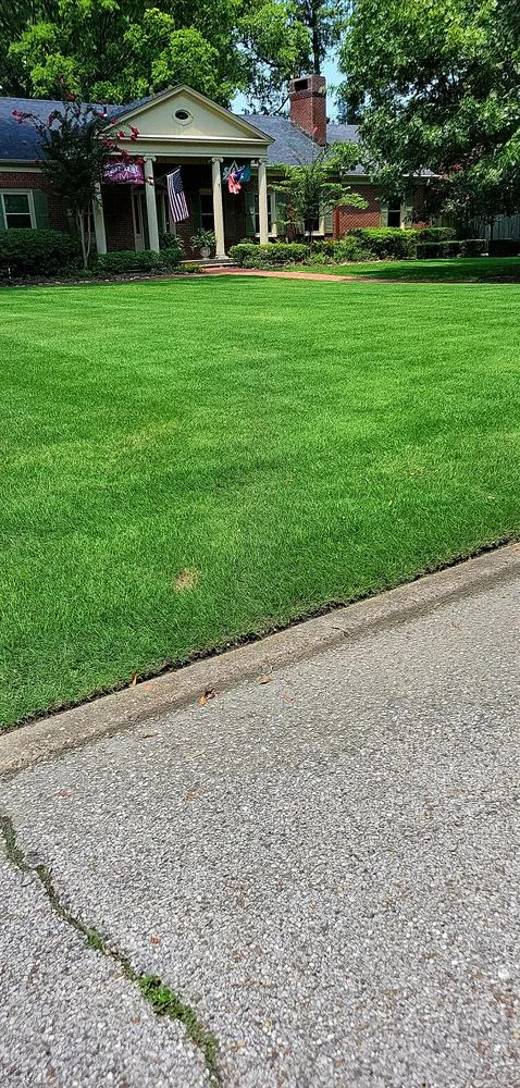 Top-rated lawn mowing service experts serving Doddsville, MS - Greenway Lawn Services