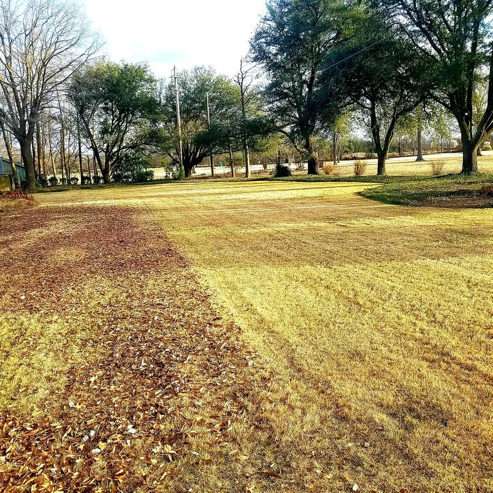 Local outdoor landscaping in Doddsville, MS - Greenway Lawn Services