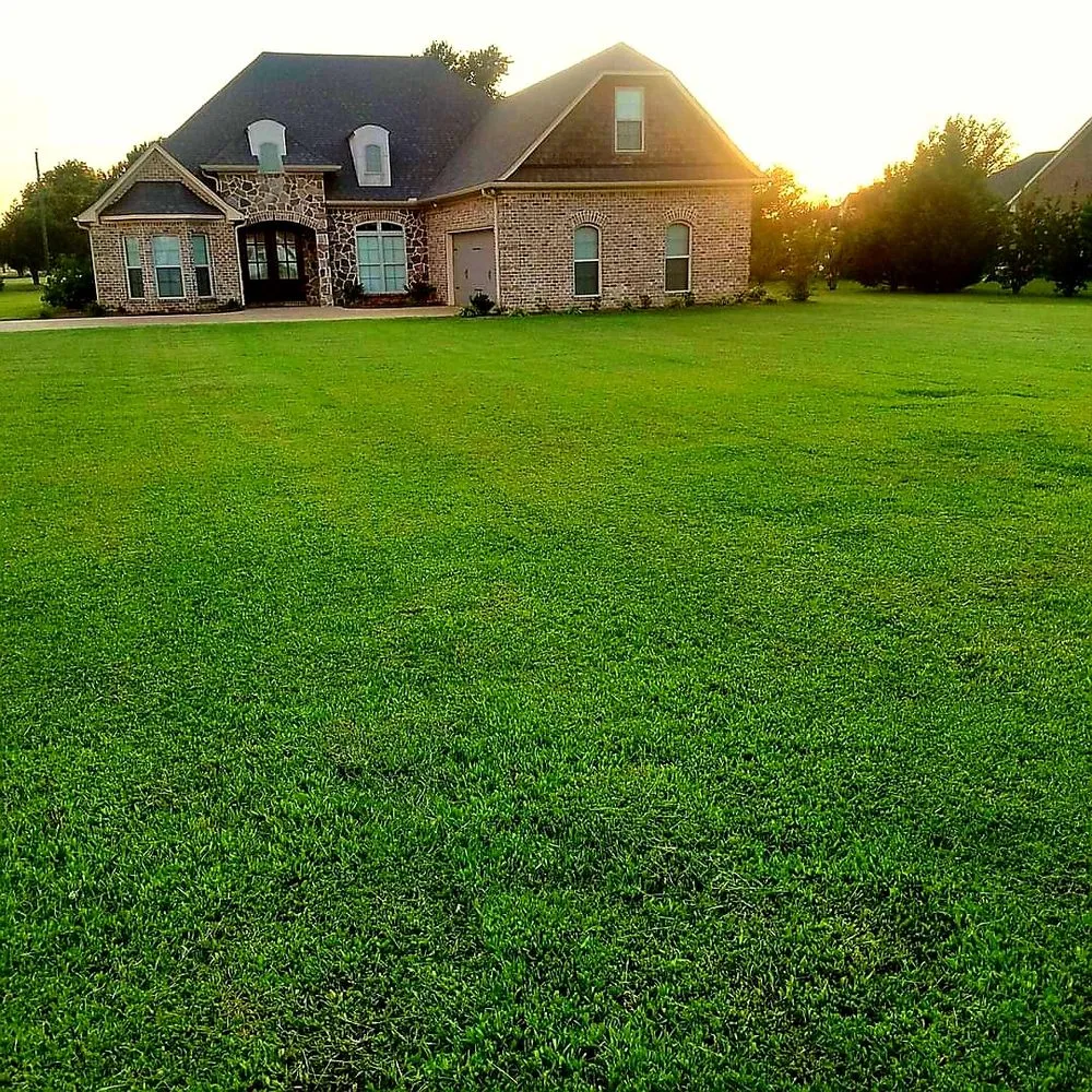 Local landscape installation for homes across Doddsville, MS - Greenway Lawn Services