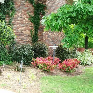 Expert outdoor landscaping for outdoor upgrades in Milan, TN by Greenway Nursery