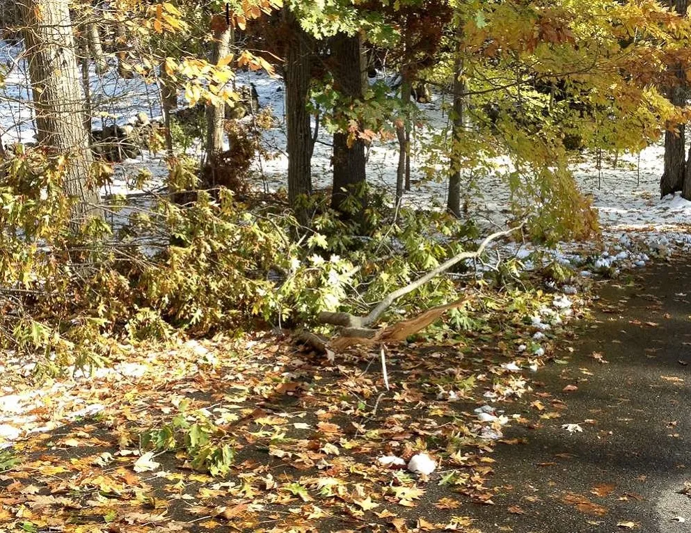 Trusted landscaping services in Danbury, CT - Greenway Property Maintenance