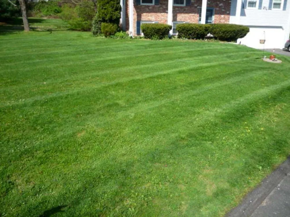 Expert yard maintenance experts serving Danbury, CT - Greenway Property Maintenance