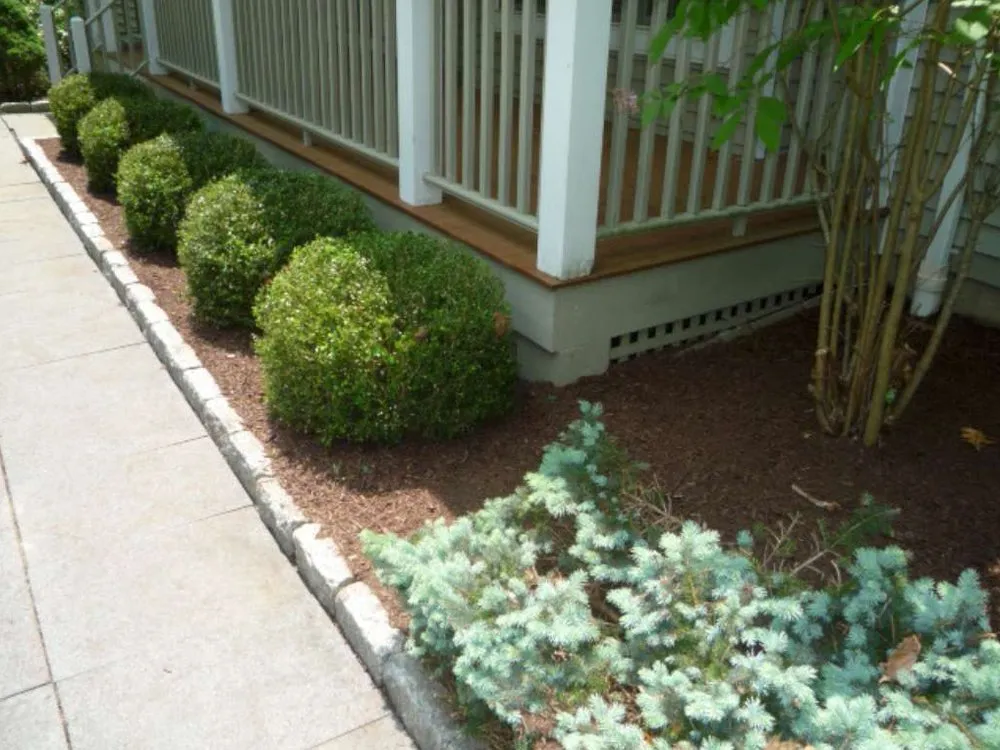 Local landscape design in Danbury, CT by Greenway Property Maintenance