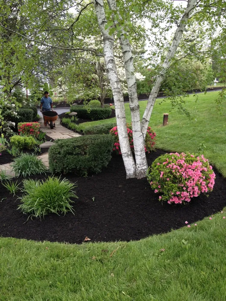 Local yard cleanup service experts serving Danbury, CT - Greenway Property Maintenance