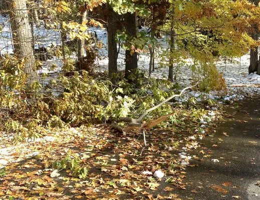 Greenway Property Maintenance Logo