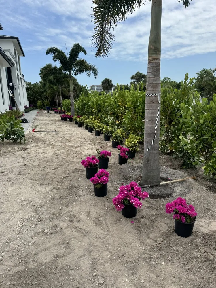 Professional lawn care service for beautiful yards across North Fort Myers, FL - Greenway Property Maintenance Landscape and Lawn Care