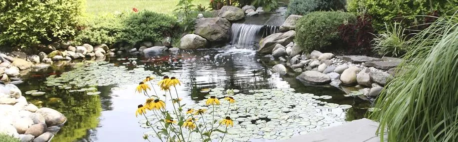 Professional yard maintenance near you across Rye Brook, NY - Greenway Property Services