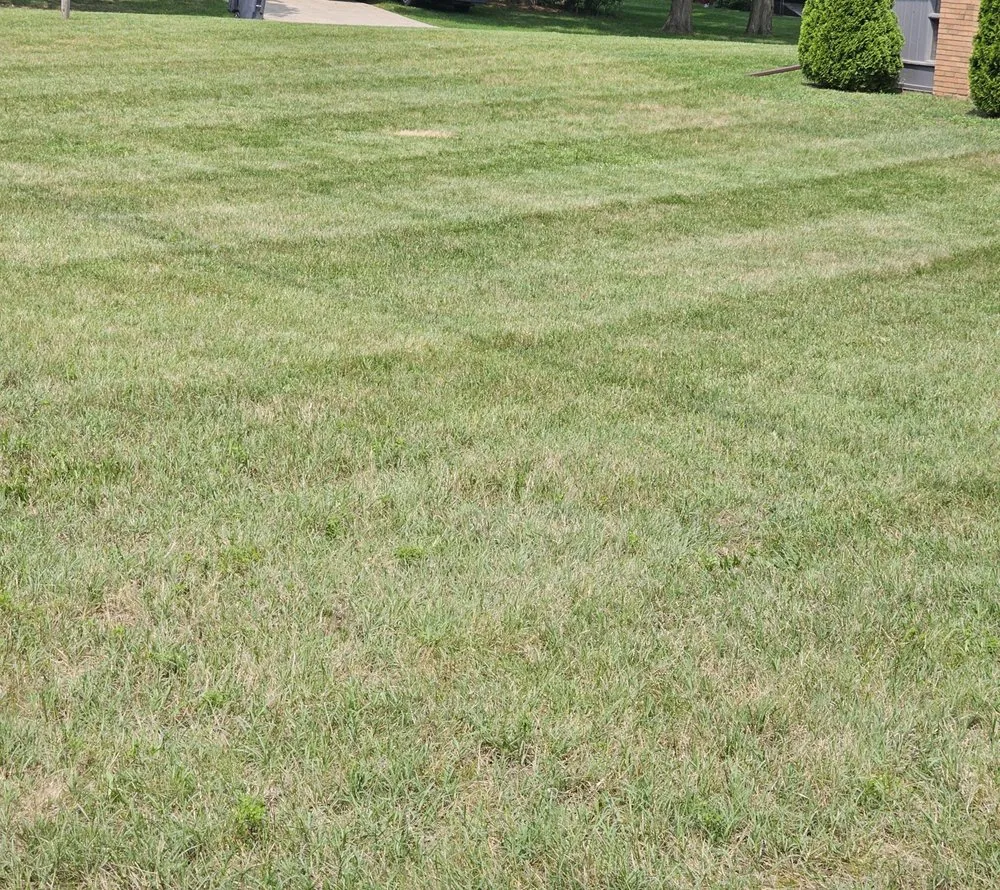 Affordable landscaping services experts serving Dowagiac, MI - Greenway Quality Lawn and Landscape