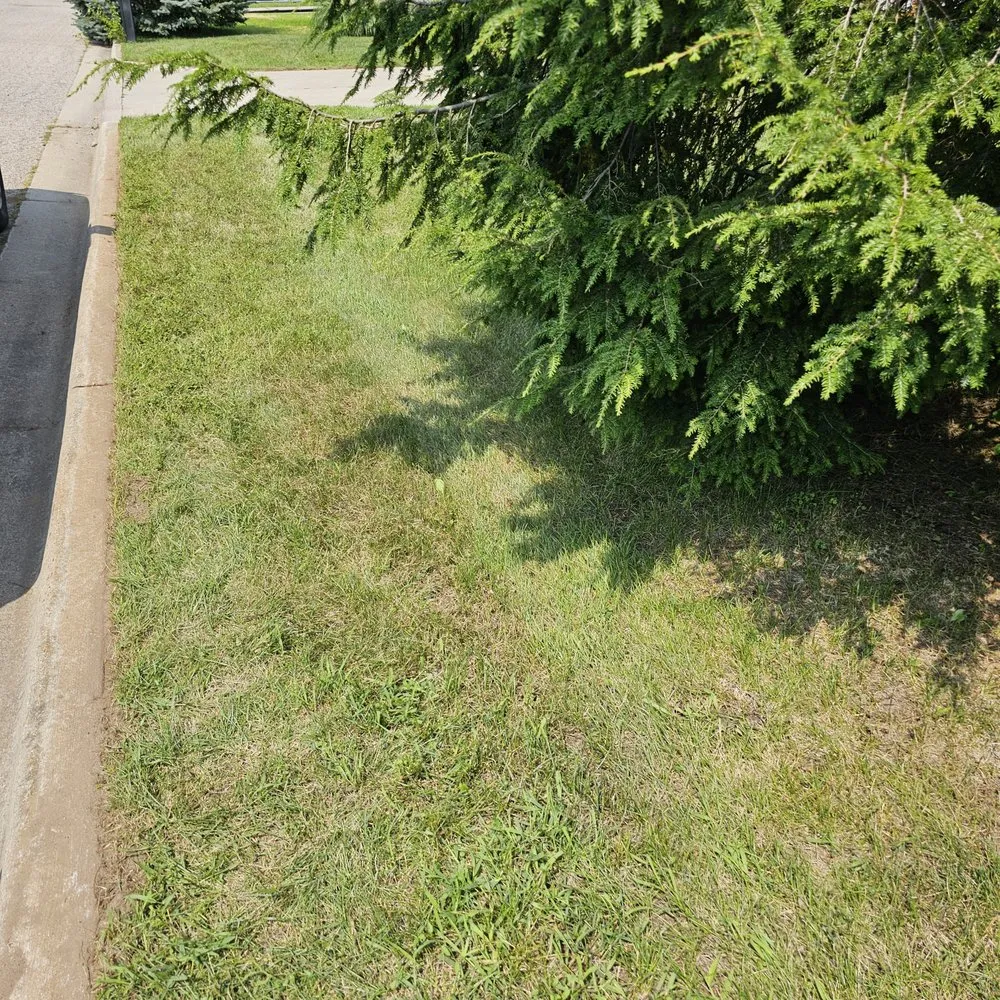 Local lawn mowing service experts serving Dowagiac, MI - Greenway Quality Lawn and Landscape