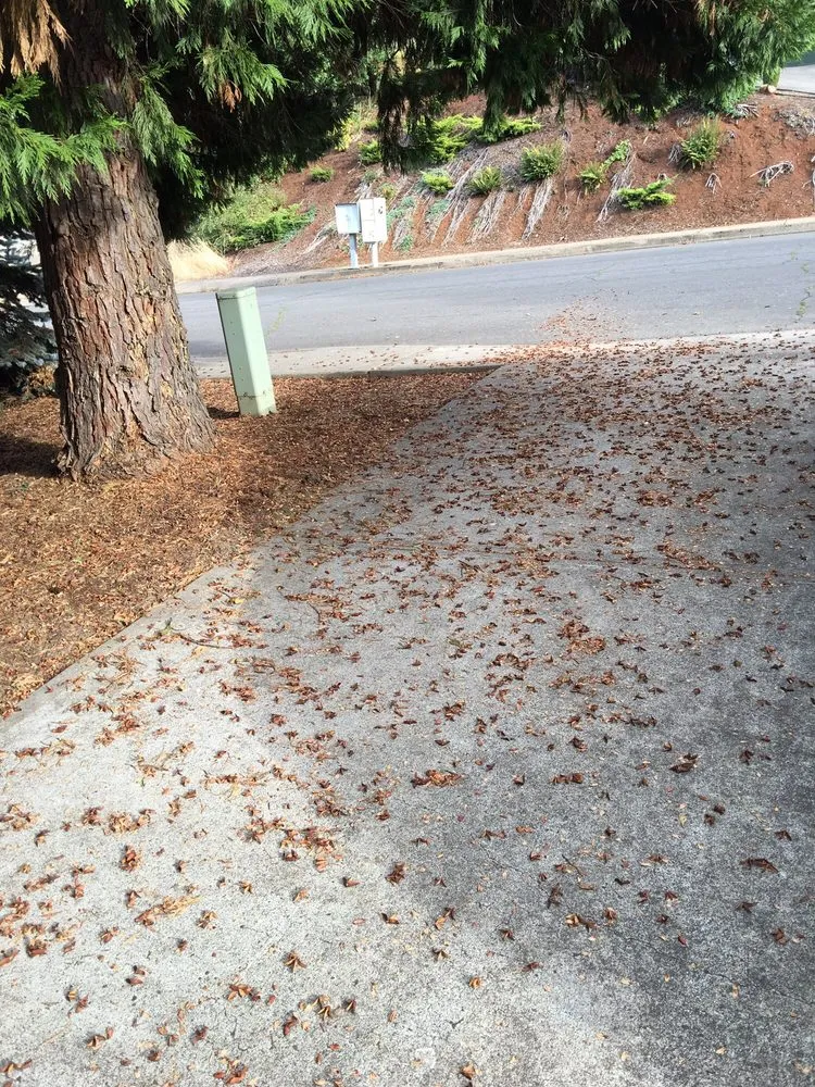 Reliable outdoor landscaping for outdoor upgrades in Salem, OR by Greenway Scapes