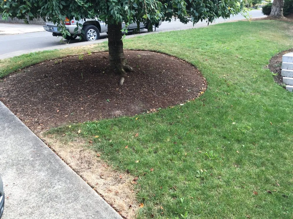 Trusted yard cleanup service experts serving Salem, OR - Greenway Scapes