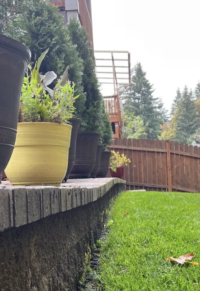 Local lawn mowing service experts serving Salem, OR - Greenway Scapes