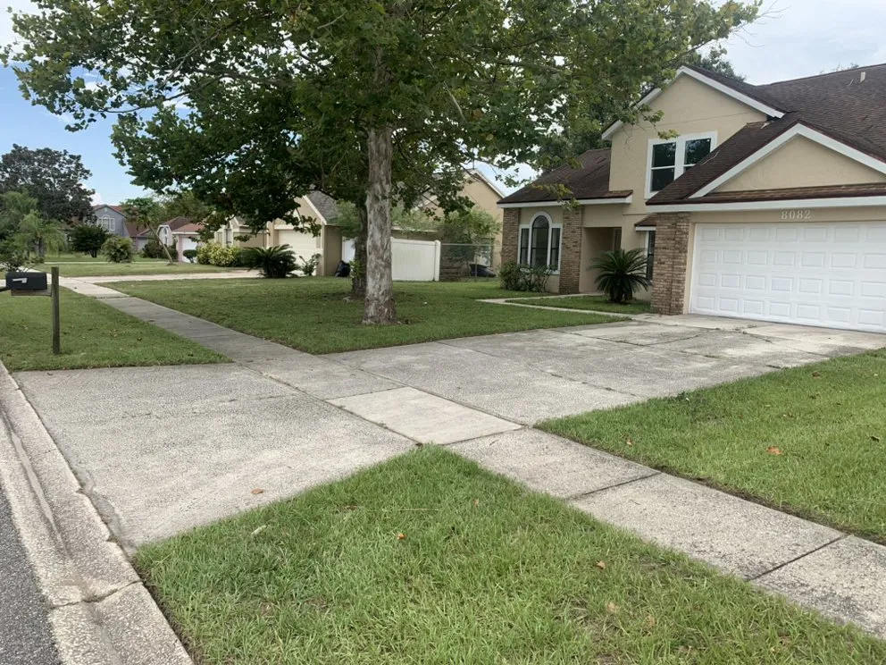 Top-rated lawn care service for beautiful yards in Orlando, FL by Greenway Tree And Lawn Services