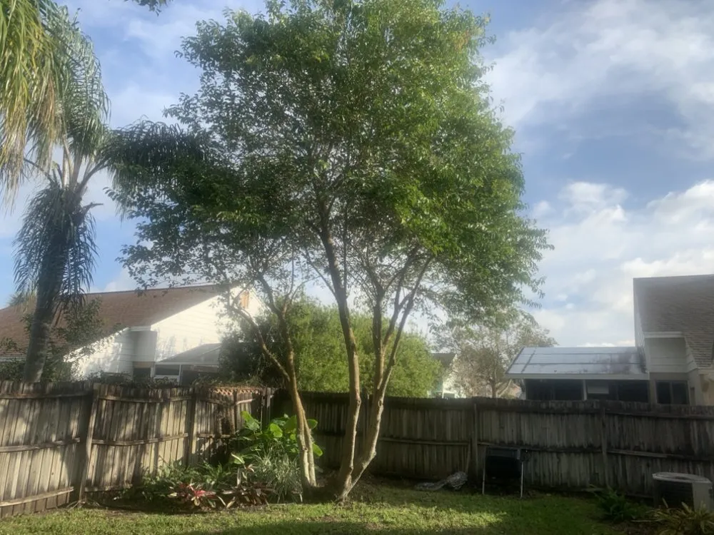 Trusted landscaping services in Orlando, FL - Greenway Tree And Lawn Services