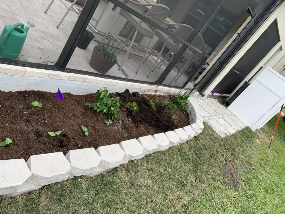 Affordable lawn care service for residential properties across Orlando, FL - Greenway Tree And Lawn Services