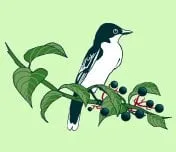 Top-rated landscape design experts serving Media, PA - GreenWeaver Landscapes