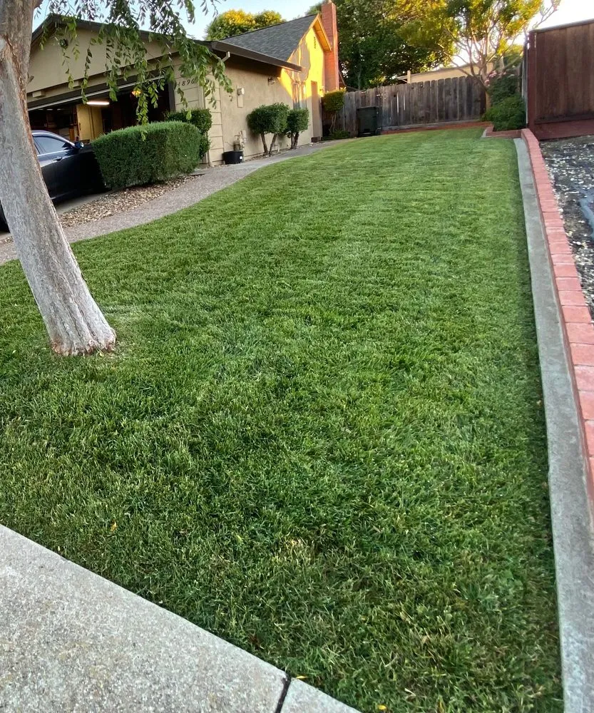 Professional landscape installation with custom design across Stockton, CA - Greenwerks Lawn Care & Maintenance