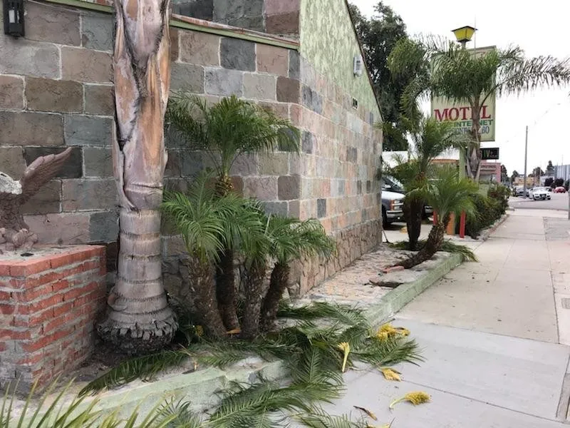 Expert landscape installation for beautiful yards across Long Beach, CA - Greenwest Landscaping