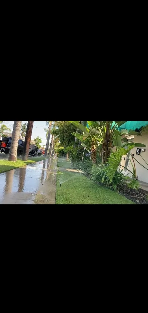 Professional landscape design for outdoor upgrades across Long Beach, CA - Greenwest Landscaping