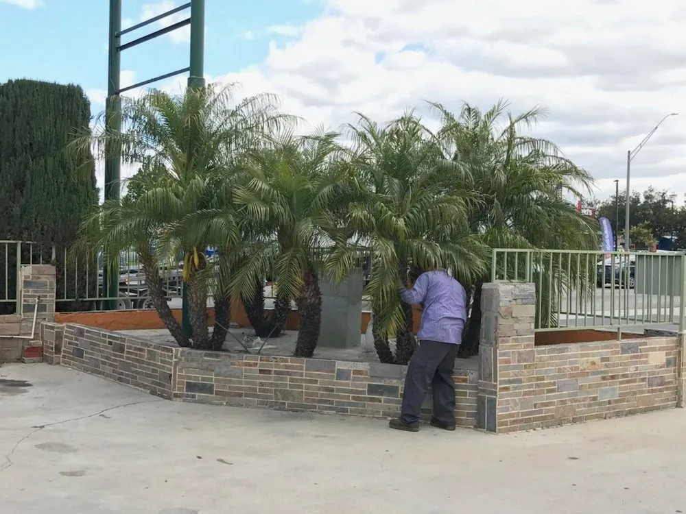 Expert outdoor landscaping in Long Beach, CA - Greenwest Landscaping