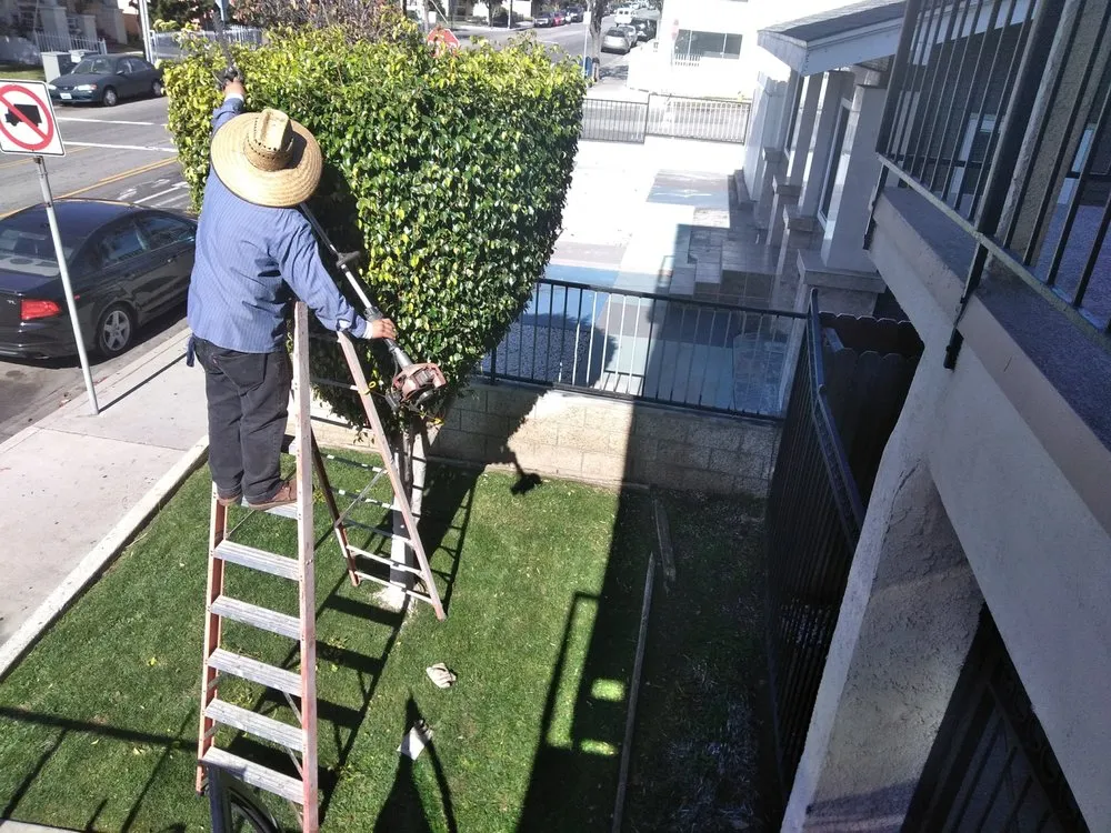 Affordable garden landscaping experts serving Long Beach, CA - Greenwest Landscaping