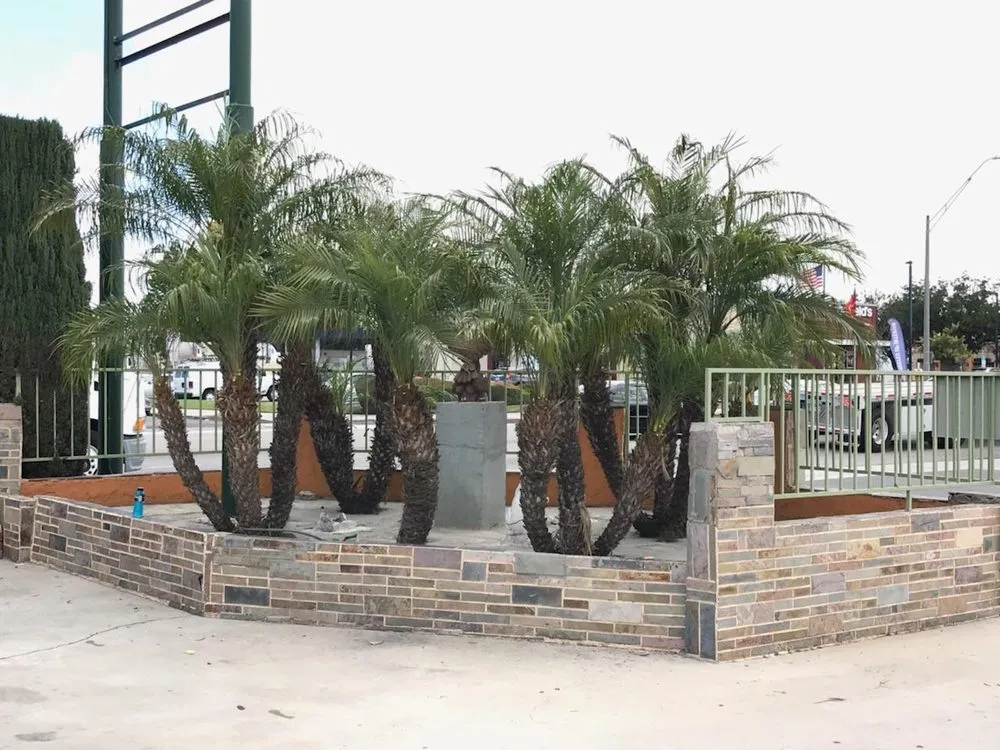 Professional landscaping services with custom design in Long Beach, CA by Greenwest Landscaping