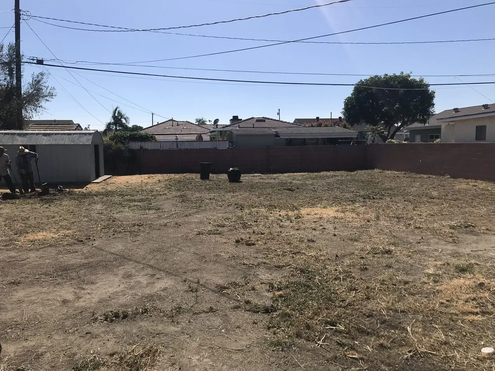 Custom yard maintenance experts serving Long Beach, CA - Greenwest Landscaping