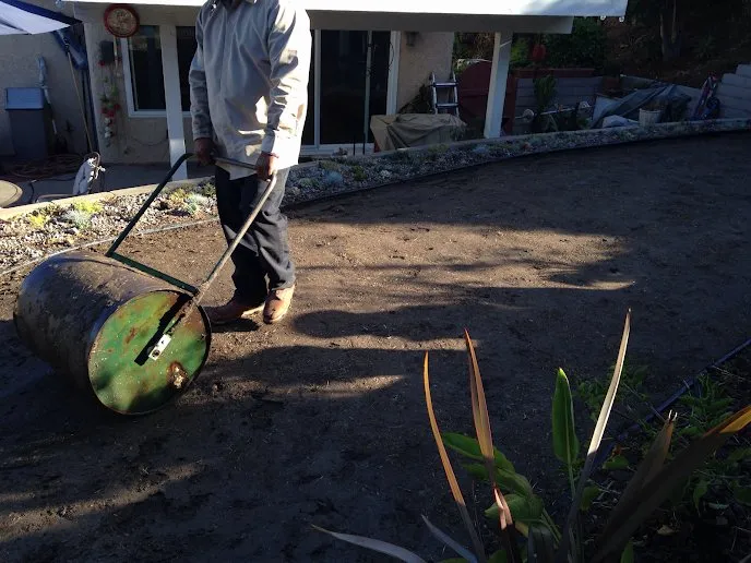 Top-rated outdoor landscaping for outdoor upgrades across Long Beach, CA - Greenwest Landscaping