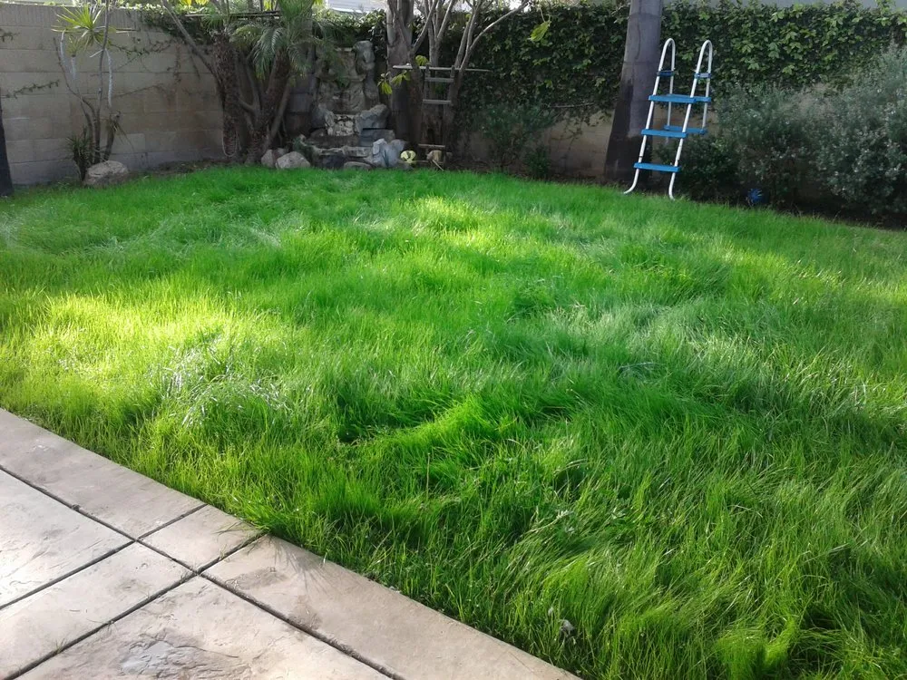 Custom landscape design for homes in Long Beach, CA by Greenwest Landscaping