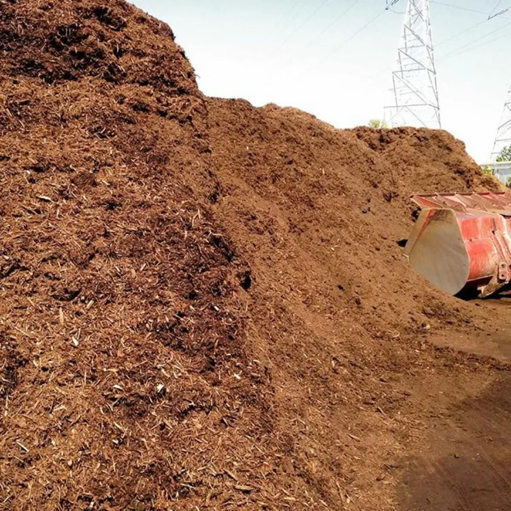 Trusted yard maintenance with custom design across Long Beach, CA - Greenwest Landscaping