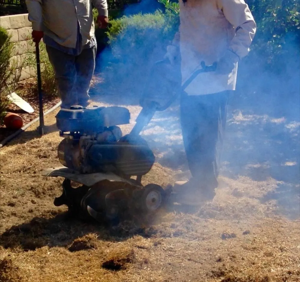 Reliable outdoor landscaping in Long Beach, CA by Greenwest Landscaping