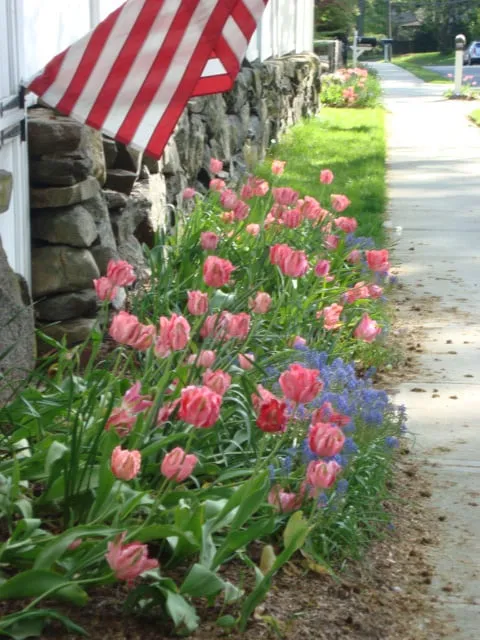 Custom landscaping services in Greenwich, CT by Greenwich Garden Design LLC