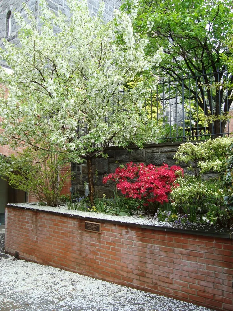 Reliable garden landscaping for homes across Greenwich, CT - Greenwich Garden Design LLC