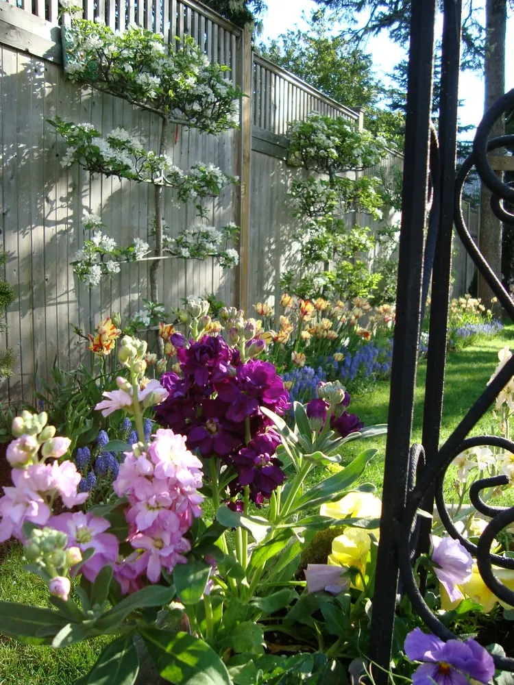 Affordable residential landscaping experts serving Greenwich, CT - Greenwich Garden Design LLC